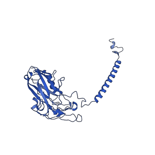 33601_7y45_B_v1-1
Cryo-EM structure of the Na+,K+-ATPase in the E2.2K+ state