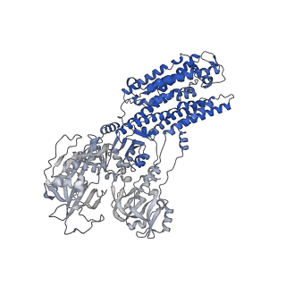 33601_7y45_C_v1-1
Cryo-EM structure of the Na+,K+-ATPase in the E2.2K+ state