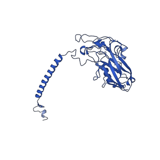 33601_7y45_D_v1-1
Cryo-EM structure of the Na+,K+-ATPase in the E2.2K+ state