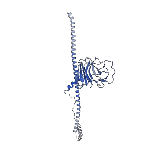33606_7y4s_A_v1-1
Structure of human MG53 homo-dimer