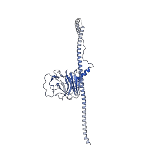 33606_7y4s_B_v1-1
Structure of human MG53 homo-dimer