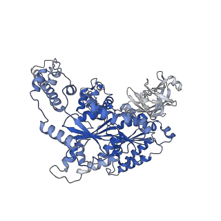 33608_7y4w_C_v1-1
The cryo-EM structure of human ERAD retro-translocation complex