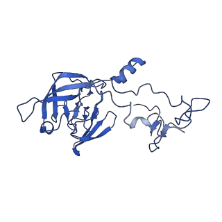10690_6y57_LA_v1-0
Structure of human ribosome in hybrid-PRE state