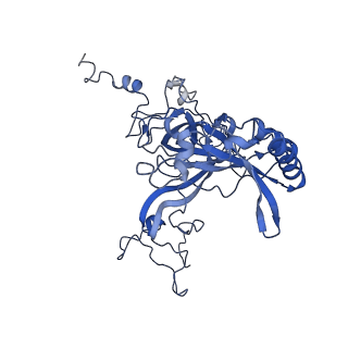 10690_6y57_LB_v1-0
Structure of human ribosome in hybrid-PRE state