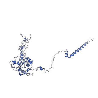 10690_6y57_LC_v1-0
Structure of human ribosome in hybrid-PRE state