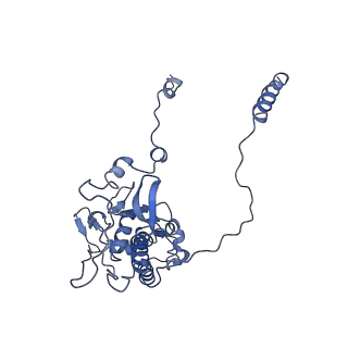 10690_6y57_LD_v1-0
Structure of human ribosome in hybrid-PRE state