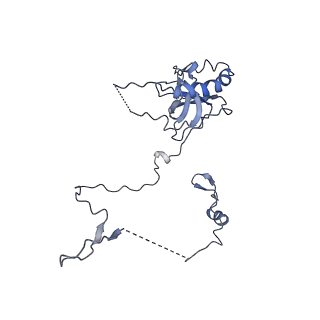 10690_6y57_LE_v1-0
Structure of human ribosome in hybrid-PRE state