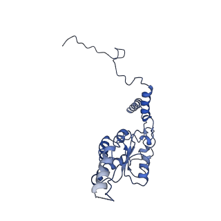 10690_6y57_LG_v1-0
Structure of human ribosome in hybrid-PRE state