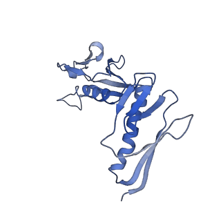 10690_6y57_LH_v1-0
Structure of human ribosome in hybrid-PRE state