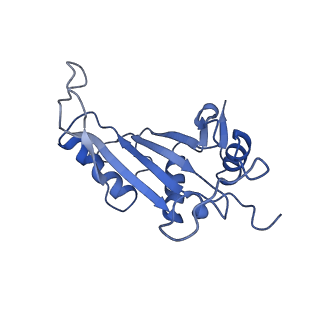 10690_6y57_LJ_v1-0
Structure of human ribosome in hybrid-PRE state