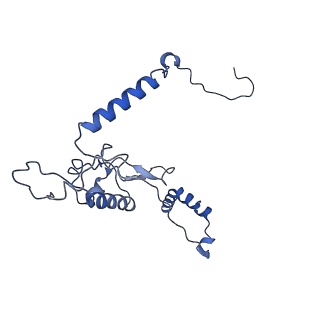 10690_6y57_LL_v1-0
Structure of human ribosome in hybrid-PRE state