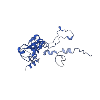 10690_6y57_LN_v1-0
Structure of human ribosome in hybrid-PRE state