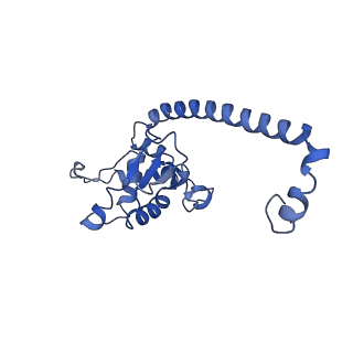 10690_6y57_LO_v1-0
Structure of human ribosome in hybrid-PRE state