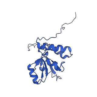 10690_6y57_LQ_v1-0
Structure of human ribosome in hybrid-PRE state