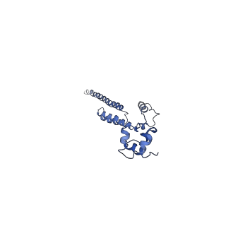 10690_6y57_LR_v1-0
Structure of human ribosome in hybrid-PRE state