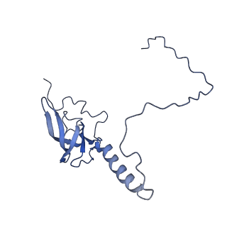 10690_6y57_LT_v1-0
Structure of human ribosome in hybrid-PRE state