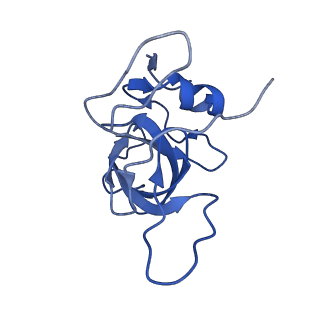 10690_6y57_LV_v1-0
Structure of human ribosome in hybrid-PRE state