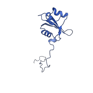 10690_6y57_LX_v1-0
Structure of human ribosome in hybrid-PRE state