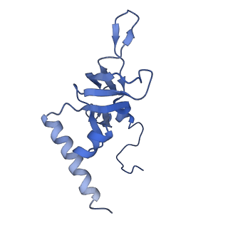 10690_6y57_LY_v1-0
Structure of human ribosome in hybrid-PRE state