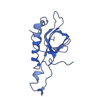 10690_6y57_LZ_v1-0
Structure of human ribosome in hybrid-PRE state