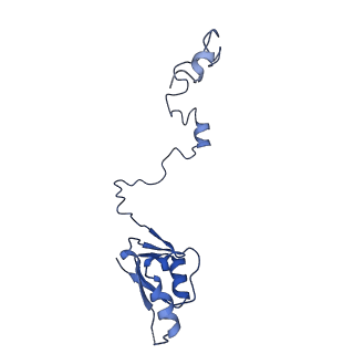 10690_6y57_La_v1-0
Structure of human ribosome in hybrid-PRE state