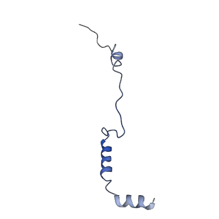 10690_6y57_Lb_v1-0
Structure of human ribosome in hybrid-PRE state