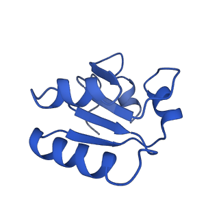 10690_6y57_Lc_v1-0
Structure of human ribosome in hybrid-PRE state