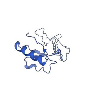 10690_6y57_Le_v1-0
Structure of human ribosome in hybrid-PRE state