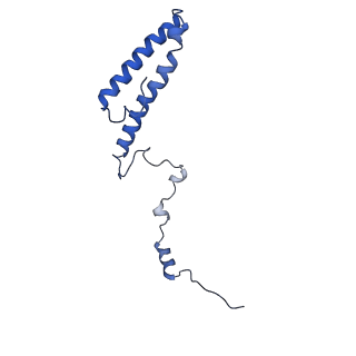 10690_6y57_Lh_v1-0
Structure of human ribosome in hybrid-PRE state
