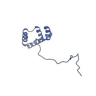 10690_6y57_Li_v1-0
Structure of human ribosome in hybrid-PRE state
