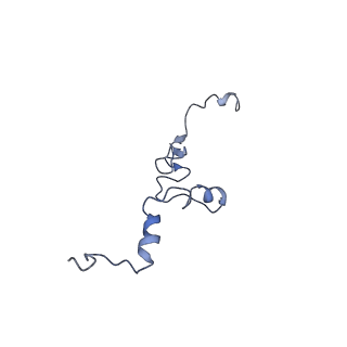 10690_6y57_Lj_v1-0
Structure of human ribosome in hybrid-PRE state