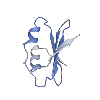 10690_6y57_Lk_v1-0
Structure of human ribosome in hybrid-PRE state
