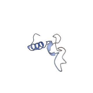 10690_6y57_Ll_v1-0
Structure of human ribosome in hybrid-PRE state
