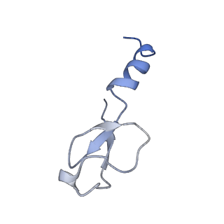 10690_6y57_Lm_v1-0
Structure of human ribosome in hybrid-PRE state