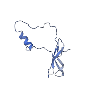 10690_6y57_Lo_v1-0
Structure of human ribosome in hybrid-PRE state