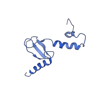 10690_6y57_Lp_v1-0
Structure of human ribosome in hybrid-PRE state