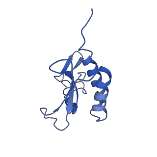10690_6y57_Lr_v1-0
Structure of human ribosome in hybrid-PRE state