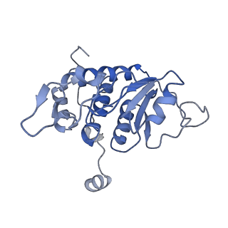 10690_6y57_SA_v1-0
Structure of human ribosome in hybrid-PRE state