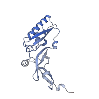10690_6y57_SB_v1-0
Structure of human ribosome in hybrid-PRE state