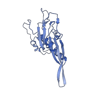 10690_6y57_SC_v1-0
Structure of human ribosome in hybrid-PRE state