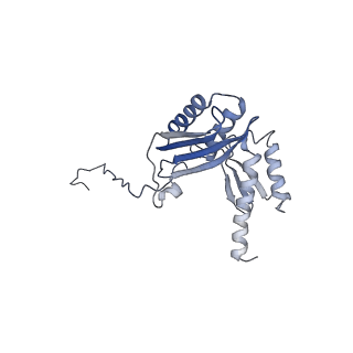 10690_6y57_SD_v1-0
Structure of human ribosome in hybrid-PRE state