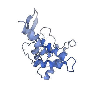 10690_6y57_SF_v1-0
Structure of human ribosome in hybrid-PRE state