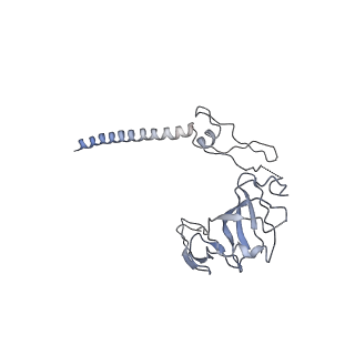 10690_6y57_SG_v1-0
Structure of human ribosome in hybrid-PRE state