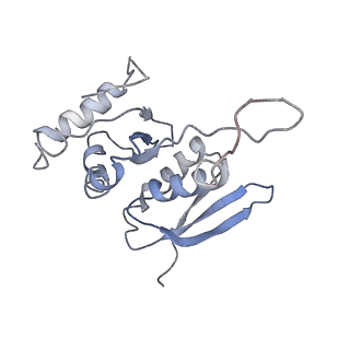 10690_6y57_SH_v1-0
Structure of human ribosome in hybrid-PRE state