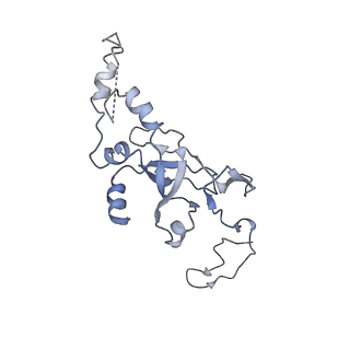 10690_6y57_SI_v1-0
Structure of human ribosome in hybrid-PRE state