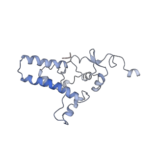 10690_6y57_SJ_v1-0
Structure of human ribosome in hybrid-PRE state