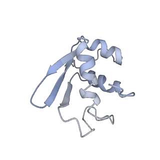 10690_6y57_SK_v1-0
Structure of human ribosome in hybrid-PRE state