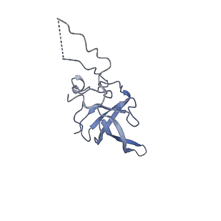 10690_6y57_SL_v1-0
Structure of human ribosome in hybrid-PRE state