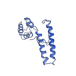 10690_6y57_SN_v1-0
Structure of human ribosome in hybrid-PRE state