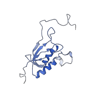 10690_6y57_SO_v1-0
Structure of human ribosome in hybrid-PRE state